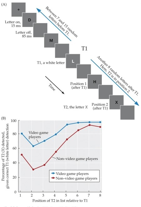 <strong>Refer to the figure. The figure depicts an attention phenomenon known as the</strong> A) illusory conjunction. B) attentional blink. C) RSVP paradigm. D) binding problem. E) search performance deficit.