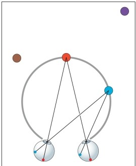 <strong>Refer to the figure. The imaginary (gray) circle in the figure is known as</strong> A) the vanishing point. B) the horopter. C) Panum's circle. D) the convergence point. E) the stereo circle.