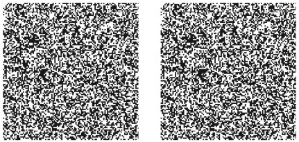 <strong>Refer to the figure. This figure is an example of</strong> A) a random dot stereogram. B) motion parallax. C) strabismus. D) stereoblindness. E) diplopia.