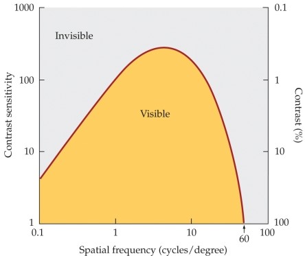 <strong>Refer to the graph. What does the visible region in the graph refer to?</strong> A) Acuity B) The visibility of any object whose spatial frequencies and contrasts fall within it C) The degree to which one can see from a distance of 20 feet D) The lowest contrast one can distinguish E) The distance at which an eye chart should be readable to a normal observer