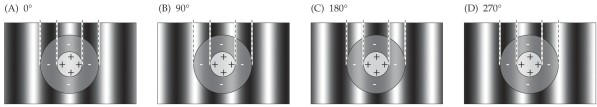 <strong>Refer to the figure. The retinal ganglion cell pictured here would respond most strongly to which of the phases of the sine wave grating?</strong> A) A B) B C) C D) D E) The ganglion cell would respond equally well to all of these.