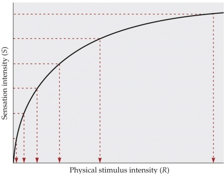 <strong>Refer to the graph. This graph illustrates</strong> A) Weber's law. B) Berkeley's function. C) Descartes' beliefs. D) Fechner's law. E) Helmholtz's curve.