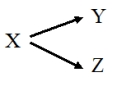 <strong>Refer to the figure. According to the theoretical model,</strong> A) the inferred causal relationship between Y and Z is weak. B) X is an intervening variable. C) X affects Y and Z, but there is no causal relationship between Y and Z. D) Y and Z are independent of X.