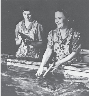 <strong> -Why are these women, cleaning parts for welding, being photographed looking like they're doing dishes?</strong> A) To convince Americans that women's war work was similar to their traditional roles B) To convince women that they had the skills to help with the war effort C) To convince men to let their wives go to work D) To scare women away from these jobs