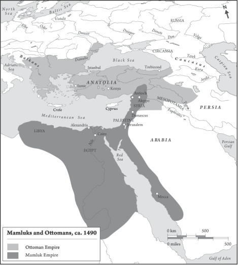 <strong> How did the Latin West respond to the scenario depicted in this map?</strong> A) Crusades were launched to defend the Byzantine empire B) Treaties were made with the Mamluks and Ottomans C) The Latin West joined in the despoliation of Byzantium D) The Latin West did nothing to intervene
