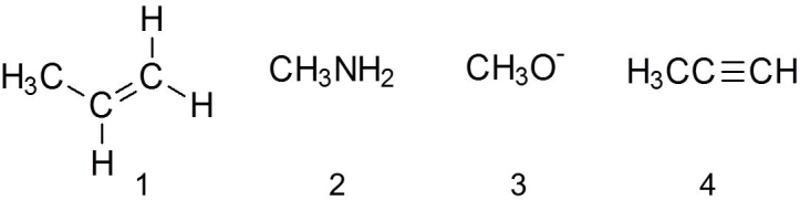 <strong>Which of the following are nucleophiles? </strong> A) 1 B) 2 C) 3 D) 4 E) all of the above