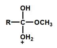 <strong>Which of the following is an intermediate in the acid-catalyzed hydrolysis of an ester?</strong> A) B) C) D) Intermediates B and C E) Intermediates A, B, and C