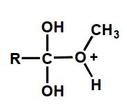 <strong>Which of the following is an intermediate in the acid-catalyzed hydrolysis of an ester?</strong> A) B) C) D) Intermediates B and C E) Intermediates A, B, and C