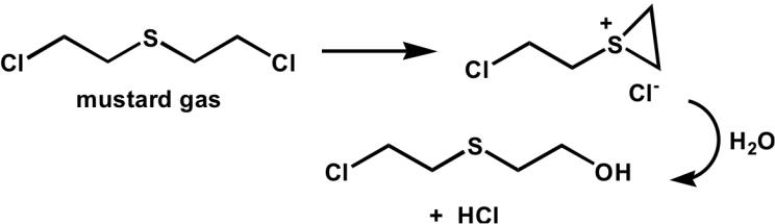 <strong>What type of intramolecular catalysis is occurring in the following reaction? </strong> A) acid B) base C) nucleophilic D) metal ion E) none of the above