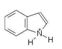 <strong>Which of the following has the lowest pK<sub>a</sub>?</strong> A) B) C) D) E)
