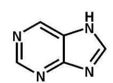 <strong>Which of the following heterocyclic amines is pyrimidine?</strong> A) B) C) D) E)