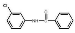 <strong>Which compound is the major product of the following reaction? </strong> A) B) C) D) E)