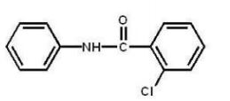 <strong>Which compound is the major product of the following reaction? </strong> A) B) C) D) E)