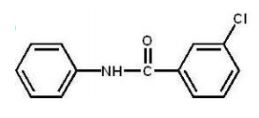 <strong>Which compound is the major product of the following reaction? </strong> A) B) C) D) E)