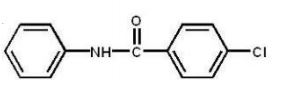 <strong>Which compound is the major product of the following reaction? </strong> A) B) C) D) E)
