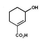 <strong>What is the major product of the following reaction? </strong> A) B) C) D) E)