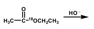 <strong>Upon aqueous hydrolysis of <sup>18</sup>O-labeled ethyl acetate, which oxygen(s) will be labeled in the final reaction mixture after mild acidification? </strong> A) B) C) D) E)