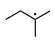 <strong>Which of the following radicals is the most stable?</strong> A) B) C) D) E)
