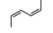 <strong>Which diene will react most readily with a dienophile?</strong> A) B) C) D) E)