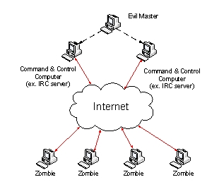 <strong>The following figure depicts the general structure of the ________ </strong> A) trojan network B) worm network C) spam network D) botnet E) darknet