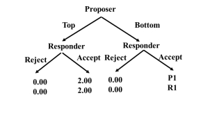 <strong>Consider the following ultimatum game, where the top number at the end of each node refers to the payoff for the proposer and the bottom number refers to the payoff for the responder. Suppose the proposer has chosen Bottom. Based on the results of the Bolton and Zwick study, the responder is more likely to choose reject if:</strong> A) P1= $2.00; R1 = $2.00. B) P1= $2.20; R1 = $1.80. C) P1= $2.40; R1 = $1.60. D) P1= $3.80; R1 = $0.20.