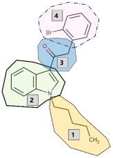 <strong>Given the following structure of a synthetic cannabinoid: Which area is the linked group?</strong> A) 1 B) 2 C) 3 D) 4