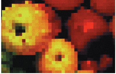<strong>Which one of the digital effects shown above is named Kurl with Ripple?</strong> A) B) C) D) E)