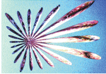 <strong>Which one of the digital effects shown above is named Kurl with Ripple?</strong> A) B) C) D) E)