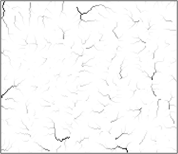 <strong>In the following flow accumulation map derived from the above DEM, ridge lines can be formed by linking locations with a flow accumulation value of    </strong> A) 1129 B) 1000 C) 100 D) 0 <div style=padding-top: 35px> 