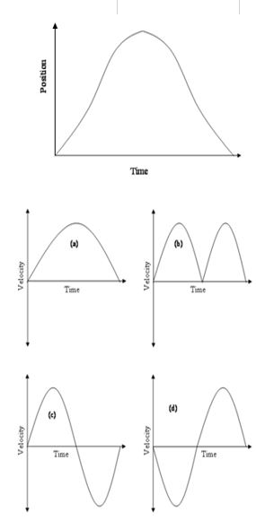 <strong>The top graph in the figure below shows position vs time of an athlete performing a shuttle run (i.e. forwards and backwards). Which of the four graphs below this (a - d) is most likely to represent the athlete's velocity vs time for the same movement? </strong> A) Image a B) Image b C) Image c D) Image d