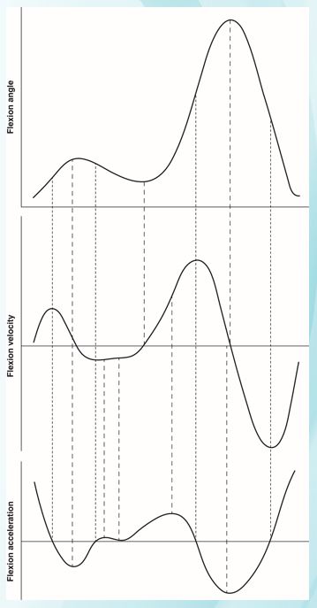 Figure A4.5 -Considering the knee flexion (top) graph in Figure A4.5, the knee flexes three times