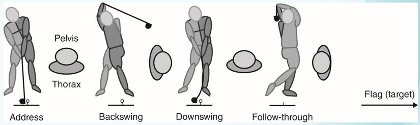 Using Fig. F7.1 and Fig F7.2, describe some of the key differences between the classic and modern golf swings and discuss what attributes of the modern swing are most likely to contribute to the higher rate of golf-related injuries associated with this technique. Fig. F7.1 Fig. F7.2