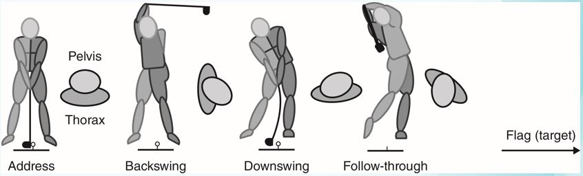 Using Fig. F7.1 and Fig F7.2, describe some of the key differences between the classic and modern golf swings and discuss what attributes of the modern swing are most likely to contribute to the higher rate of golf-related injuries associated with this technique. Fig. F7.1 Fig. F7.2