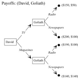 <strong> -Consider the entry advertising game depicted in Figure 13.8. Payoffs are in thousands of dollars. Suppose that there is a 70 percent probability that Goliath will advertize on the radio and an 30 percent probability that Goliath will advertise in newspapers regardless of the advertizing strategy adopted by David. If David is risk neutral, what is the subgame perfect equilibrium for this game?</strong> A) {TV 6 Radio} B) {TV 6 Newspapers} C) {Magazines 6 Radio} D) {Magazin es 6 Newspapers}