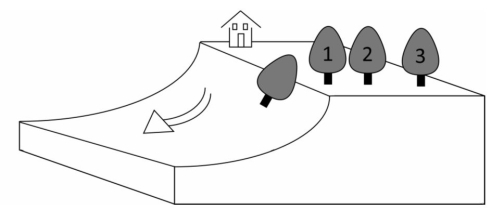 <strong>Use the information provided in the illustration below to answer the following question(s). -What landsliding process is illustrated?</strong> A) creep B) slump C) rock fall D) block glide E) rock avalanche