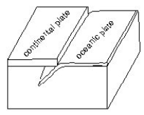 <strong>Use the information provided in the illustration below to answer the following question(s).   -What plate tectonic setting does this describe?</strong> A) convergent plate boundary B) divergent plate boundary C) transform plate boundary D) intraplate region E) wandering plate boundary <div style=padding-top: 35px> 