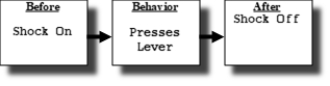 <strong>In the diagram below, what is the shock? </strong> A) Negative reinforcer B) Negative reinforcement C) Punisher D) Neutral stimulus