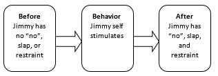 <strong> What kind of contingency is this for managing Jimmy's self-stimulation and normal play behavior? (Koegel et al.)</strong> A) differential reinforcement of alternative behavior (note DRA involves the same reinforcing outcome) B) positive punishment of self-stimulation C) natural reinforcement of normal play D) negative punishment of self-stimulation