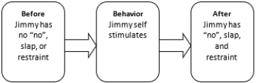 <strong>What two contingencies are involved in managing Jimmy's self-stimulation and normal play behavior? (Koegel et al.) Select the letter that corresponds to each contingency. - </strong> A) Appropriate natural contingency B) Differential reinforcement of alternative behavior (note DRA involves the same reinforcing outcome) C) Performance-management contingency D) Inappropriate natural contingency