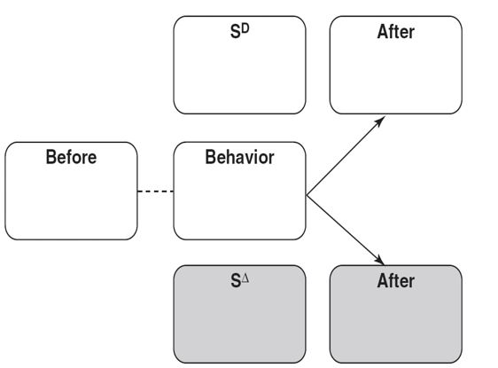 Fill in the empty parts of these diagrams. -Please diagram the Saturday Night Live (SNL) contingency as a reinforcement contingency.