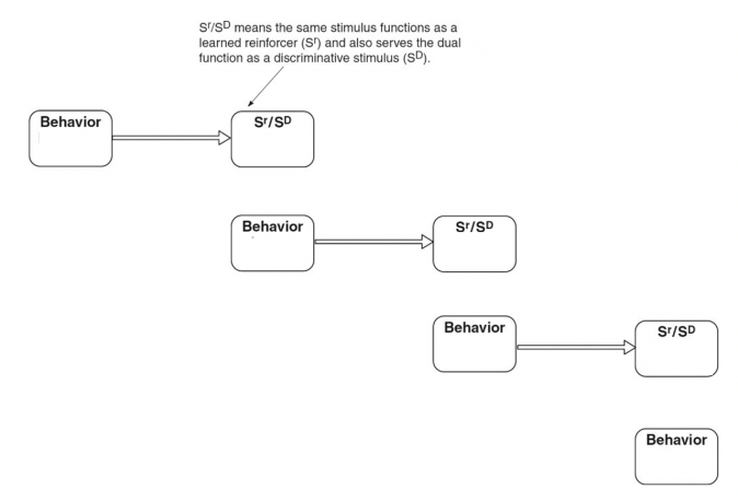 Fill in the empty boxes for -Diagram a behavioral intervention to teach a child with cerebral palsy to walk