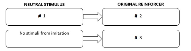 Match the numbers to the words that go in the boxes to Diagram the establishment of a learned imitative reinforcer.   -No food & praise B) Stimuli from imitation C) Food & praise D) Trainer says do this<div style=padding-top: 35px> 
