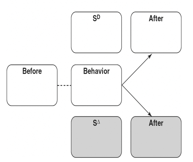 Fill in the empty boxes for -Concerning the experiment to teach the concepts of picture of person and picture of nonperson to pigeons, please diagram the training contingencies.