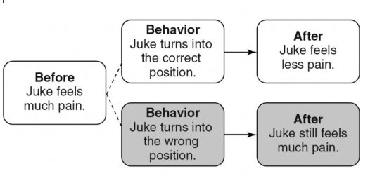 <strong>Match the following concepts with the diagrams below. -Differential Reinforcement of Alternative Behavior (DRA)</strong> A) B) C) D) E) F) G) H) I) J) K) L) M) N)