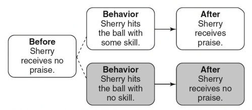 <strong>Match the following concepts with the diagrams below. -Differential-reinforcement</strong> A) B) C) D) E) F. G. H. I. J. K. L. M. N.