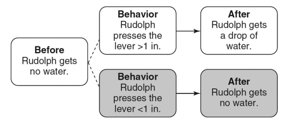 <strong>Match the following concepts with the diagrams below. -Differential negative punishment</strong> A) B) C) D) E) F) G) H) I) J) K) L) M) N)