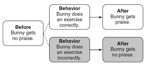 <strong>Match the following concepts with the diagrams below. -Differential negative punishment</strong> A) B) C) D) E) F) G) H) I) J) K) L) M) N)
