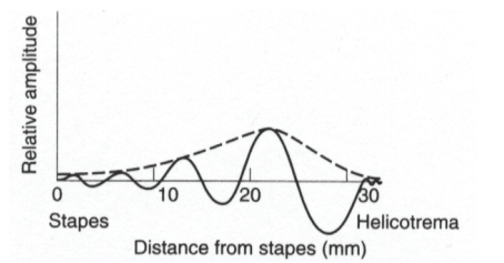 <strong>In the figure below, the dashed line that connects the peaks of the wave as it progresses is called the: </strong> A) amplitude B) overtone C) tone height D) envelope
