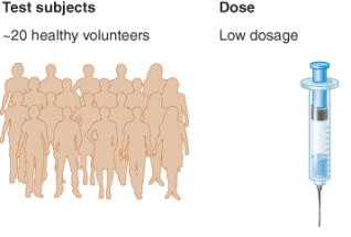 <strong>What phase of a clinical trial is shown by the illustration? </strong> A) Phase 0 B) Phase 1 C) Phase 2 D) Phase 3