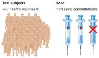 <strong>What phase of a clinical trial is shown by the illustration? </strong> A) Phase 0 B) Phase 1 C) Phase 2 D) Phase 3